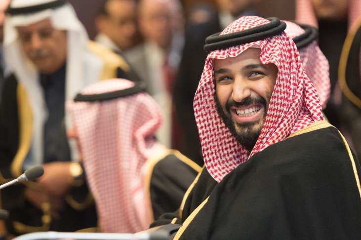 saudis harvard