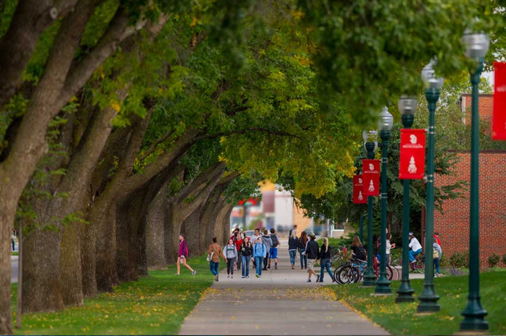 university of south dakota