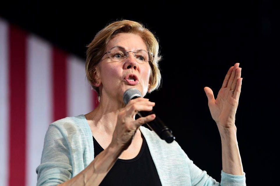 elizabeth warren consultant