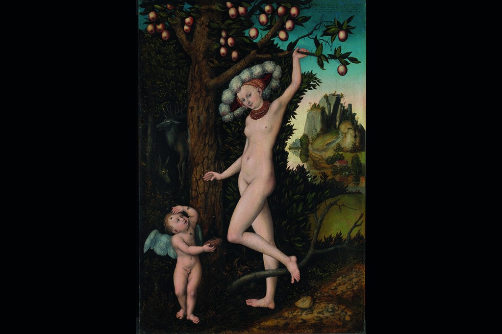 cranach