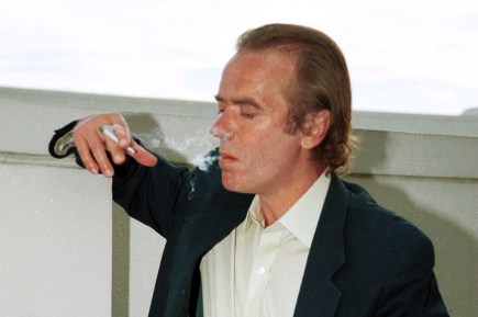 martin amis france