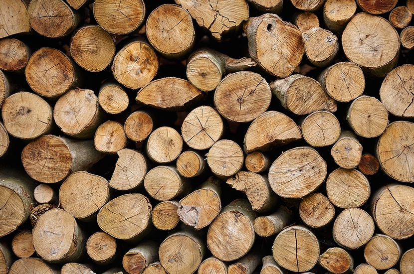 log police