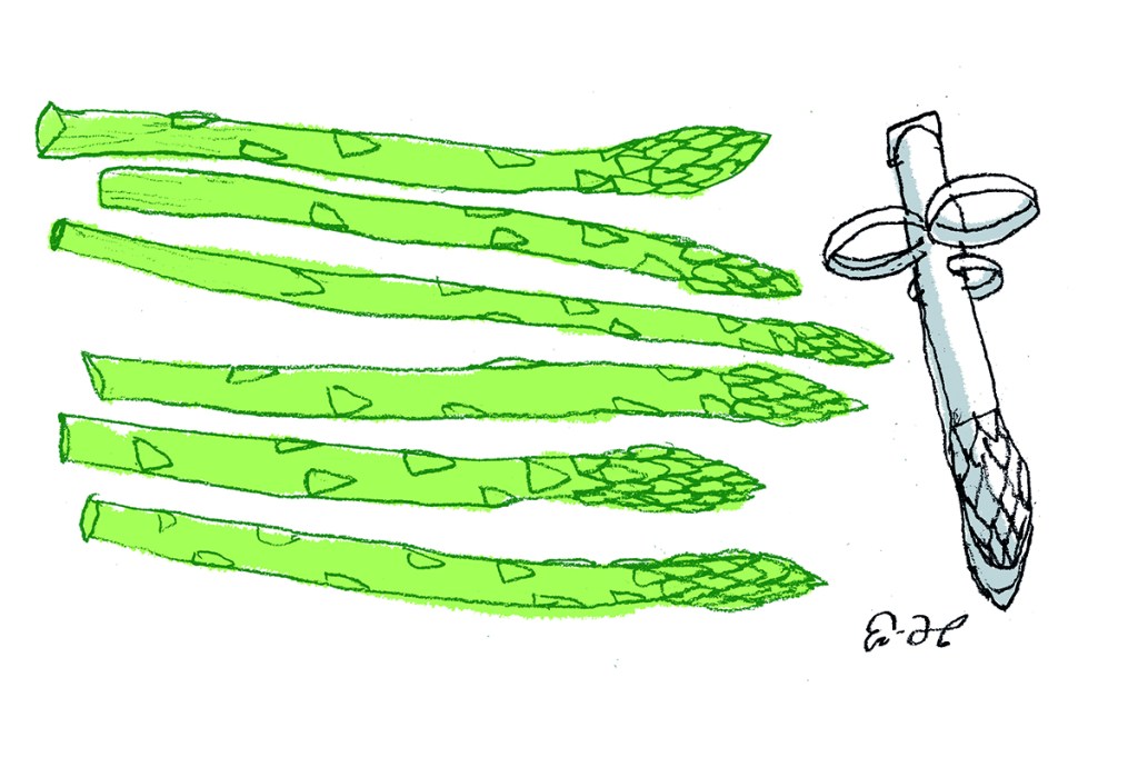 asparagus