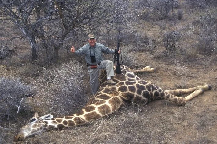 trophy hunting