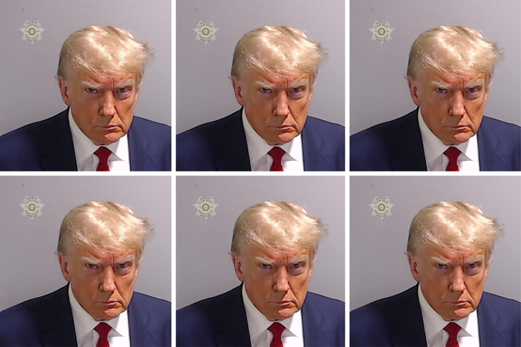 Trump mugshot composition